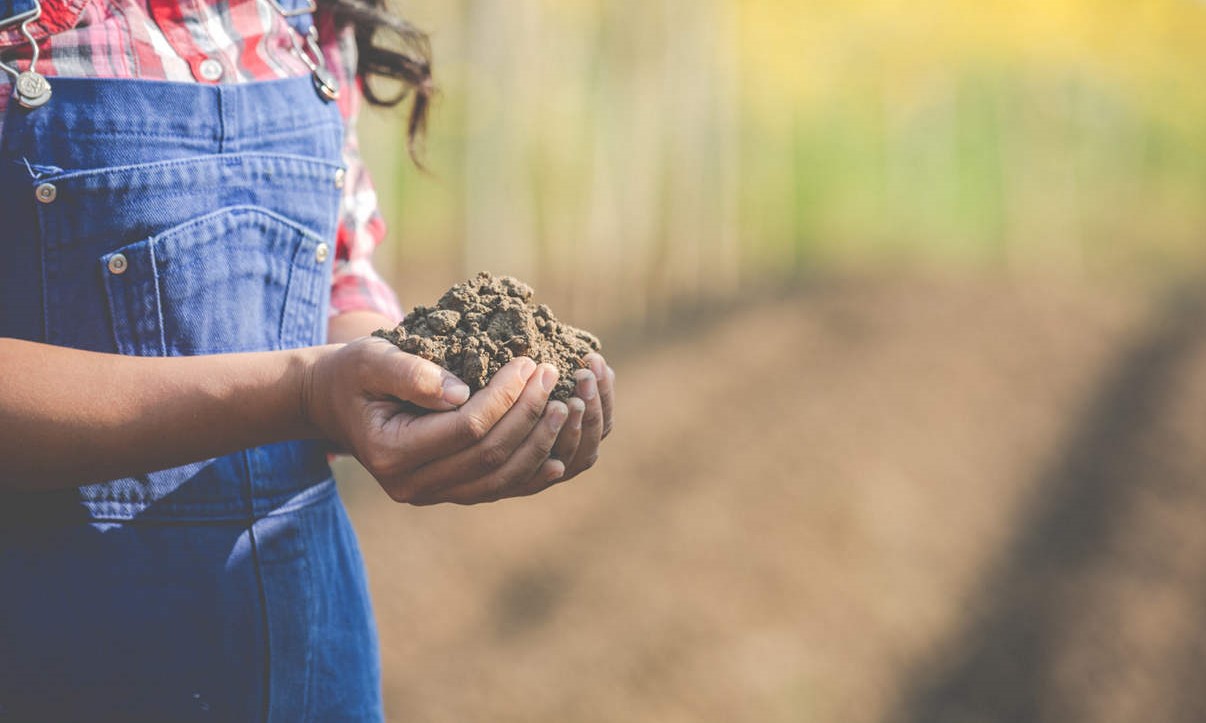 Bidfood en Van Gelder versterken biodiversiteit met Boeren Natuurlijk